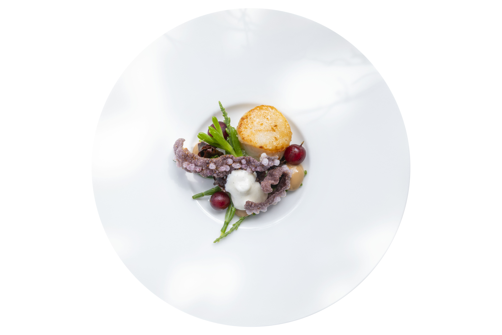 Menü Selection E.B.: Jakobsmuschel (Foto) Pulpo-Cracker, Krustentier-Mayonnaise, Zitronenverbene, bretonische Algen, Stachelbeere, Loup de mer Tomaten-Galanga-Kompott, Pinienkerne, Kartoffelschmelze, Kaninchen Lattuga-Creme, Aprikose, Perlhuhn Label Rouge Brust und Ragout, Zitronenthymian, Karotte, grüner Spargel, Mandel-Couscous, Ricotta Johannisbeeren, Ingwer, Rose (als Viergang-Menü ohne Kaninchen)