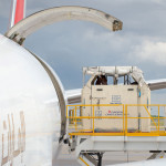 Pferdetransport: In großen sicheren Containern werden die Pferde für den langen Flug an Bord der Emirates-Boeing 777 gebracht