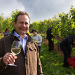 Bimmele: Weinlese ist Handarbeit: In Haslach auf einem der angestammten Weinberge seiner Familie überzeugt sich Siegbert Bimmerle persönlich, wie es um die Trauben für seine ausgezeichneten Weine bestellt ist