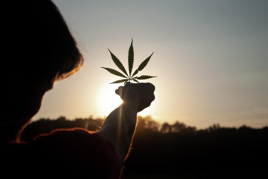 Wie lange dauert es noch bis zur Freigabe von Cannabis?